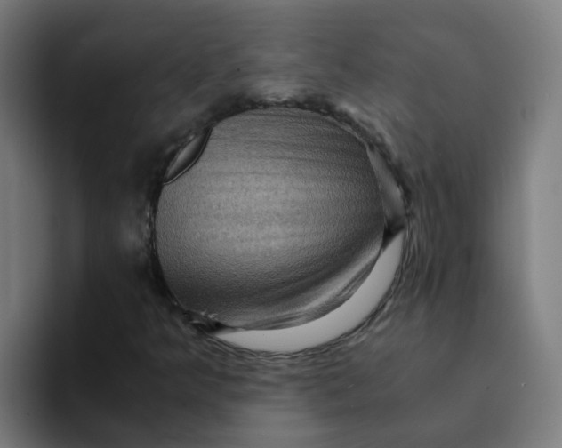 X0000094181349200711161720