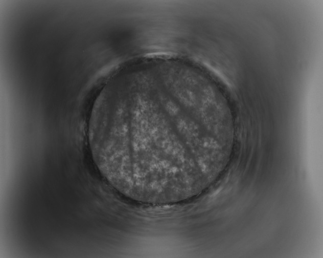X0000094181351200711161720