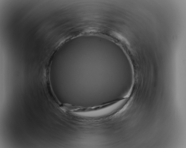 X0000094181353200711161719