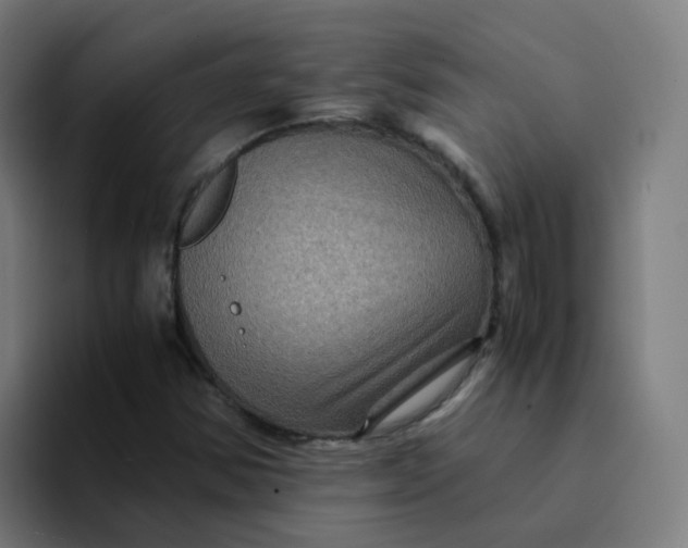 X0000094181354200711161719