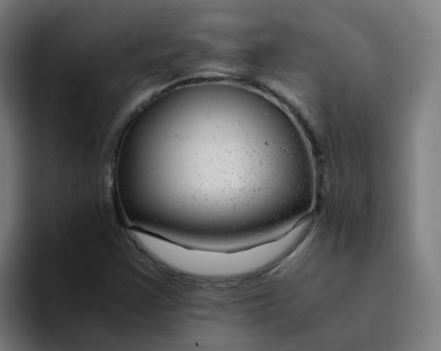 X0000094181355200711161719