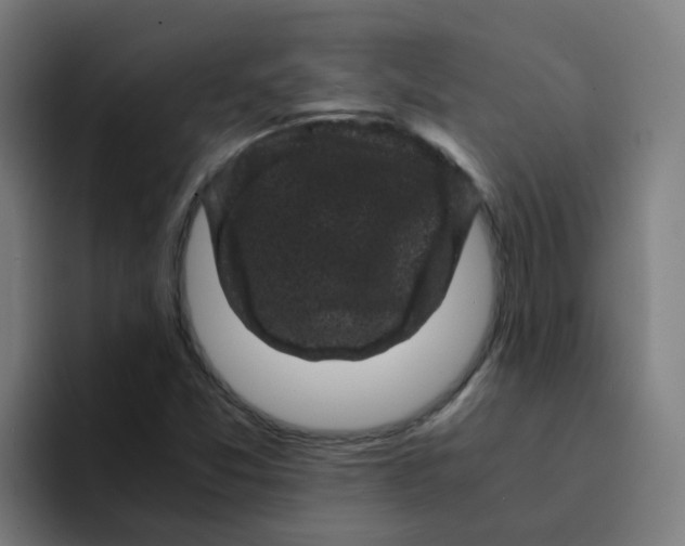 X0000094181357200711161719