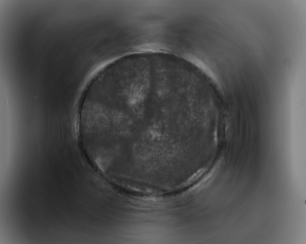 X0000094181358200711161719