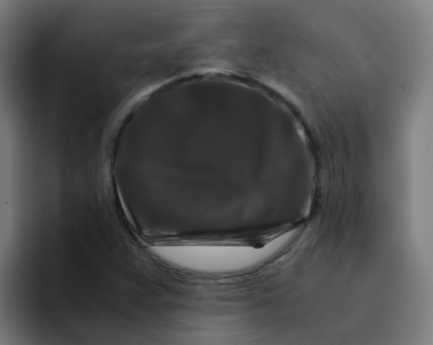 X0000094181359200711161719