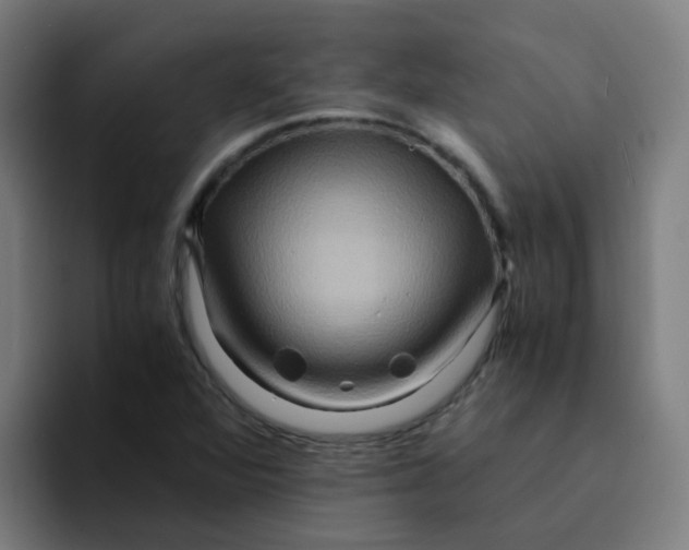 X0000094181360200711161719