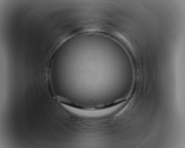 X0000094181361200711161719