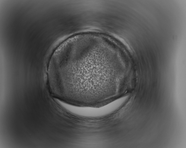 X0000094181363200711161719