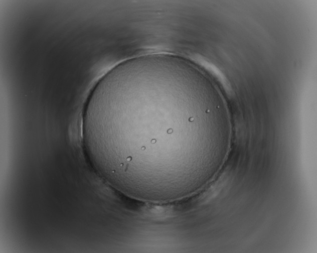 X0000094181365200711161719