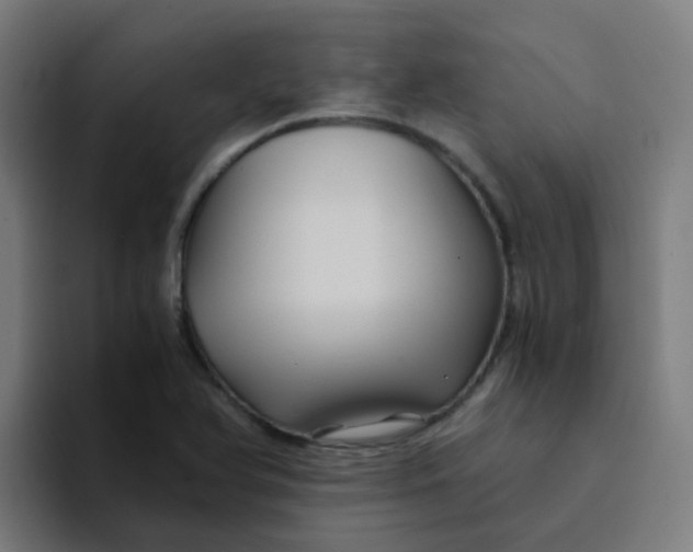 X0000094181366200711161719