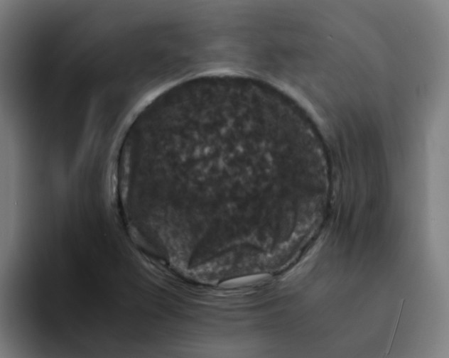 X0000094181367200711161719