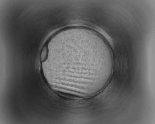 X0000094181368200711161719