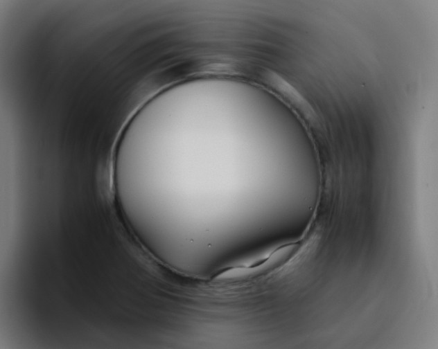 X0000094181370200711161719