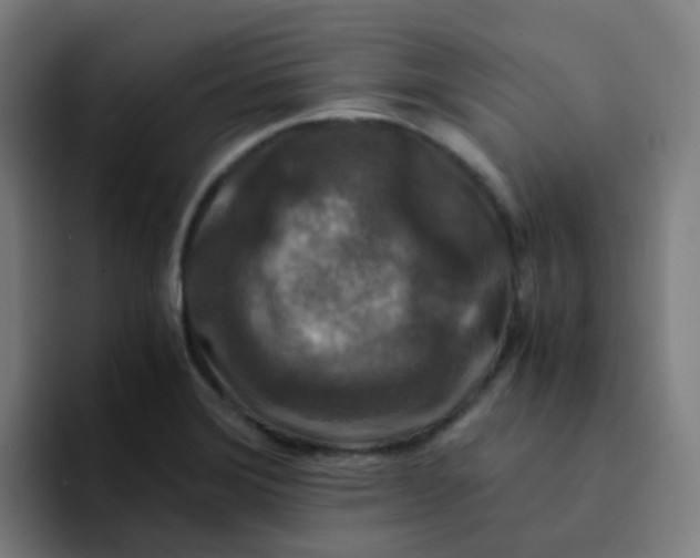 X0000094181372200711161719