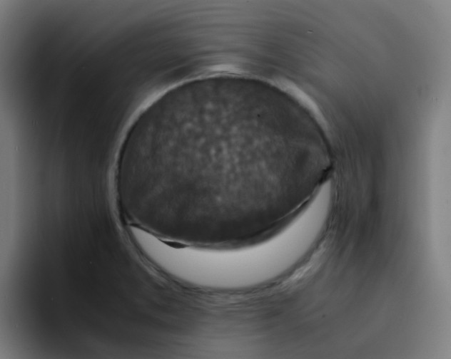 X0000094181373200711161719