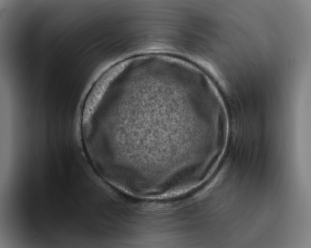 X0000094181374200711161719