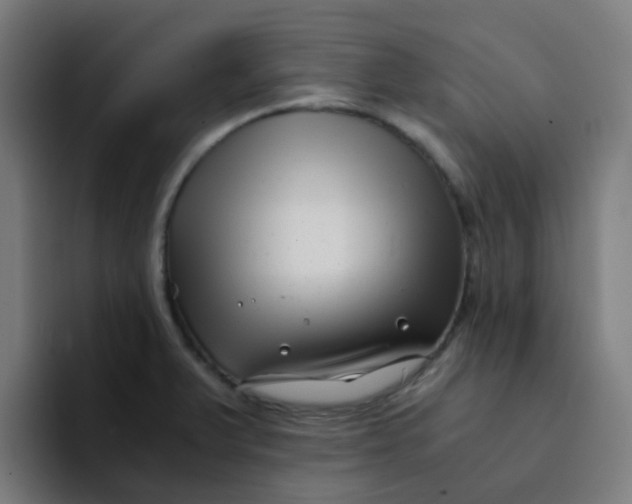 X0000094181375200711161719