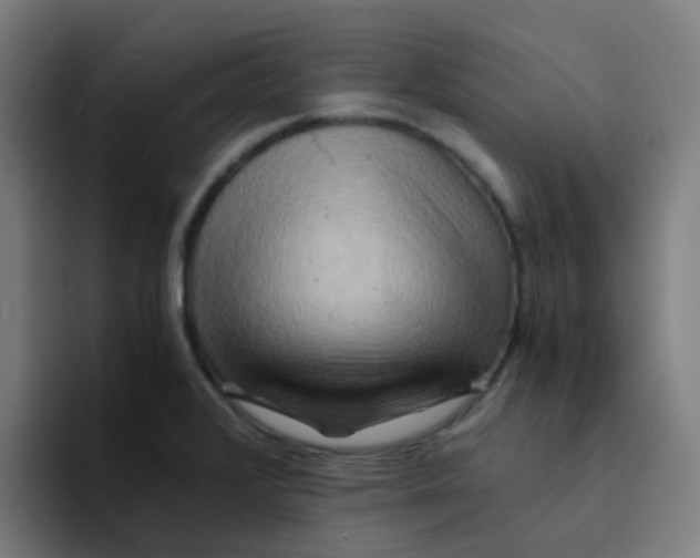 X0000094181376200711161719