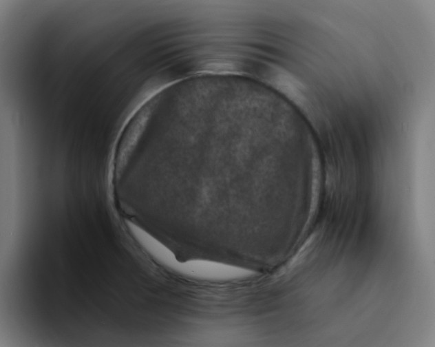 X0000094181378200711161719