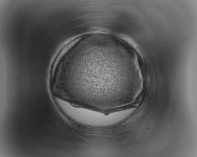 X0000094181379200711161719
