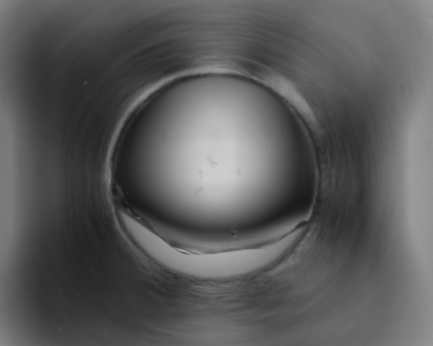 X0000094181380200711161719