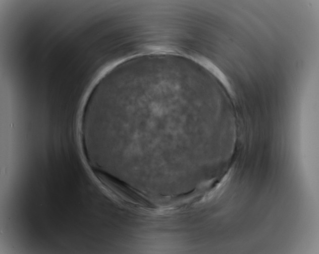 X0000094181381200711161719