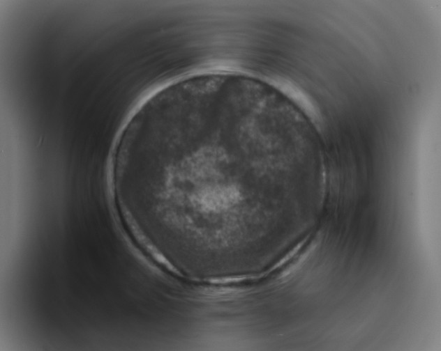 X0000094181382200711161719