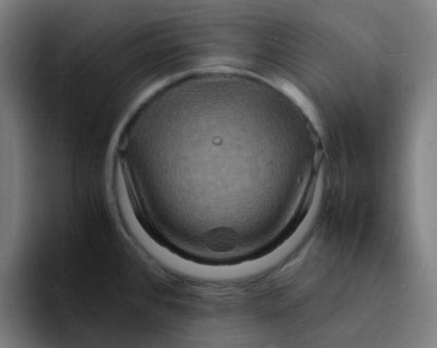 X0000094181384200711161719