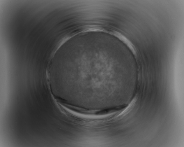 X0000094181385200711161719