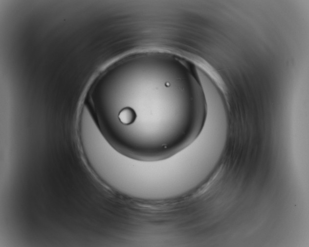 X0000094181388200711161719