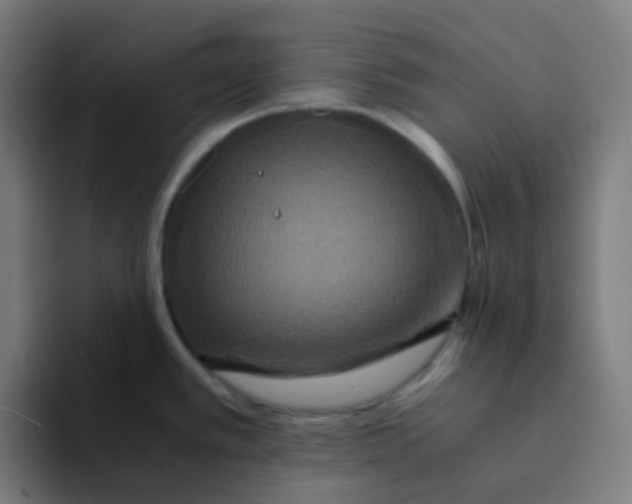X0000094181389200711161719