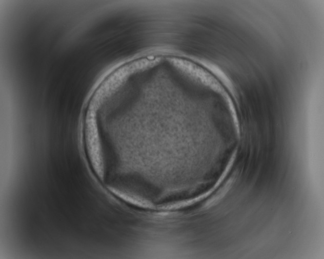X0000094181390200711161719
