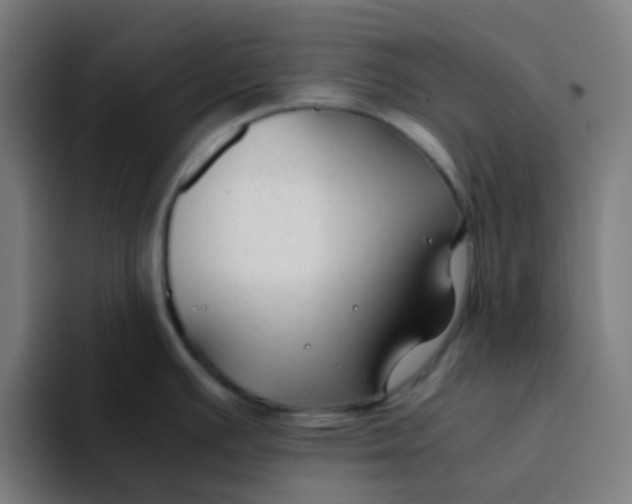 X0000094181391200711161719