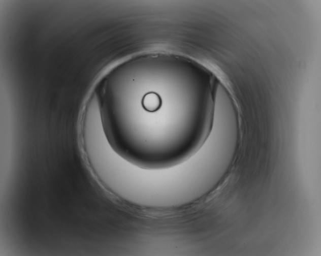 X0000094181392200711161719