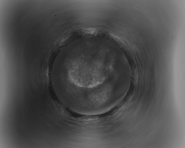 X0000094181394200711161718