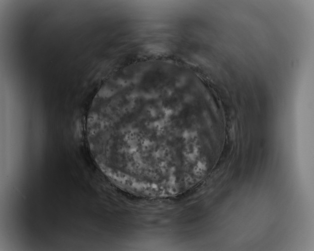 X0000094181397200711161718