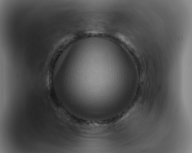 X0000094181398200711161718
