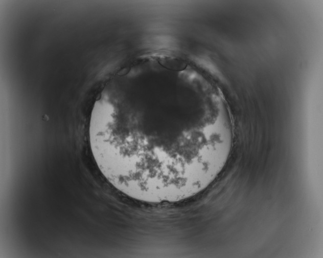 X0000094181399200711161718