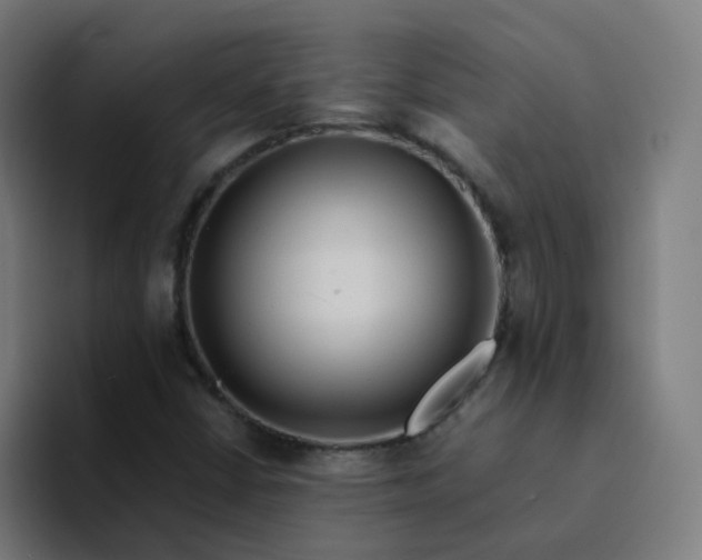 X0000094181402200711161718