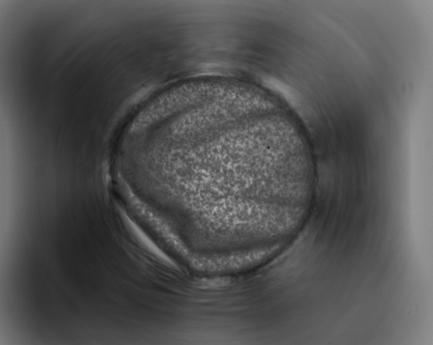 X0000094181403200711161718