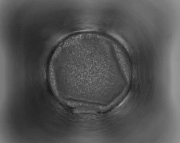 X0000094181407200711161719