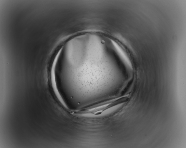 X0000094181408200711161719