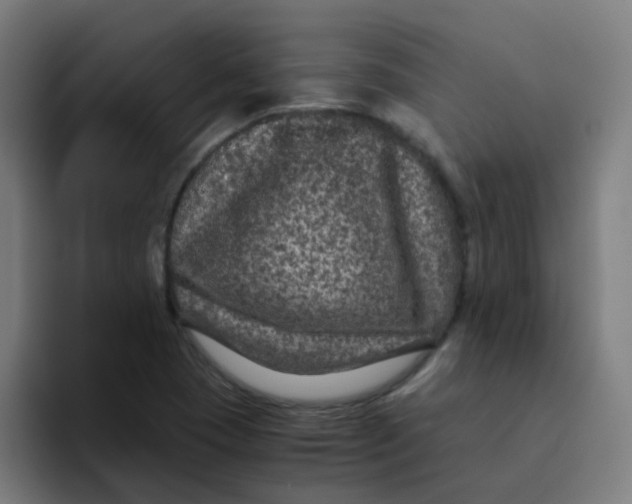 X0000094181409200711161719