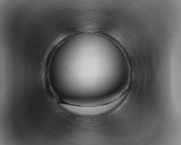 X0000094181410200711161719