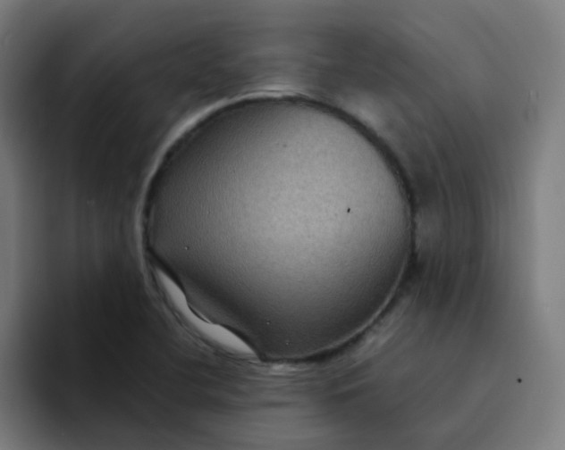 X0000094181412200711161719