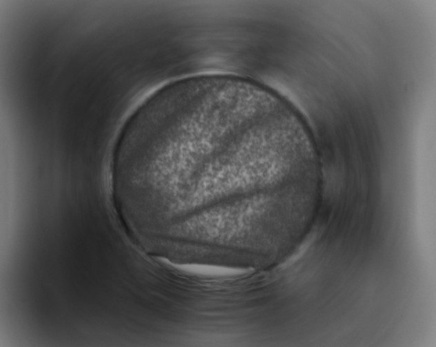 X0000094181415200711161719