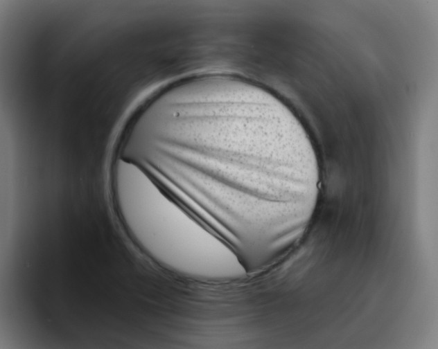 X0000094181416200711161719