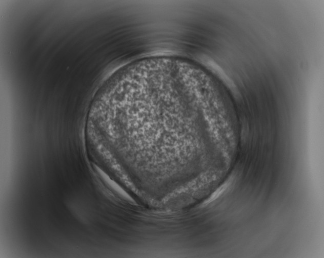 X0000094181417200711161719