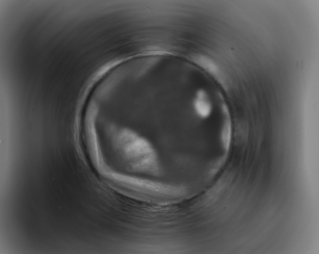 X0000094181419200711161719