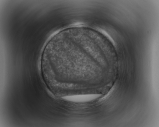 X0000094181421200711161719