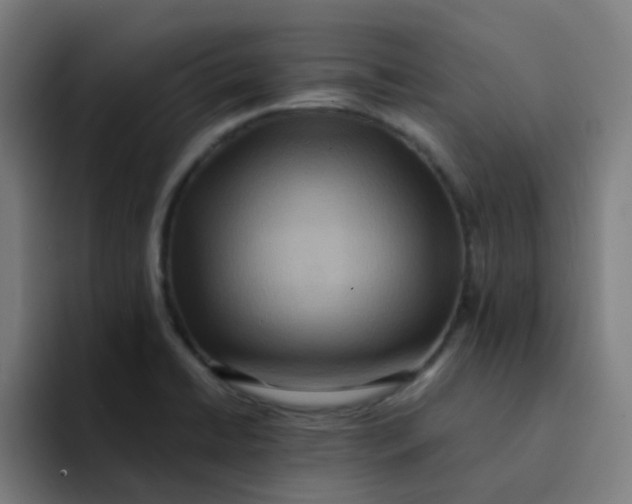 X0000094181422200711161719